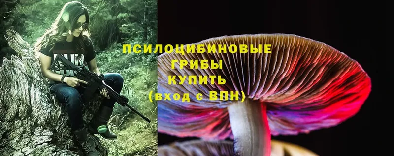 Галлюциногенные грибы MAGIC MUSHROOMS  купить наркоту  Скопин 